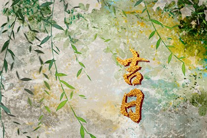 星尘算命紫微斗数,命盘测算免费,流年命盘排盘,名人紫微斗数命盘,命盘格局分析
