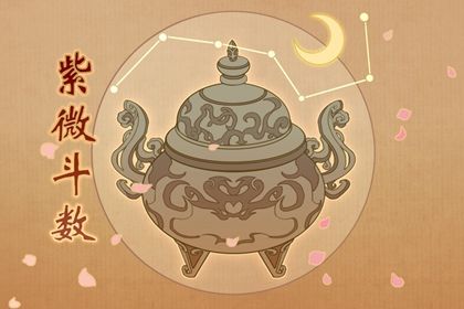 紫微斗数是什么